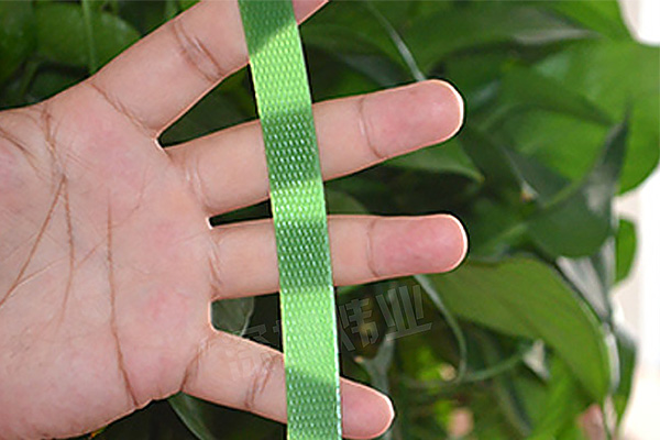 PET綠色塑鋼打包帶 PET綠色塑鋼打包帶